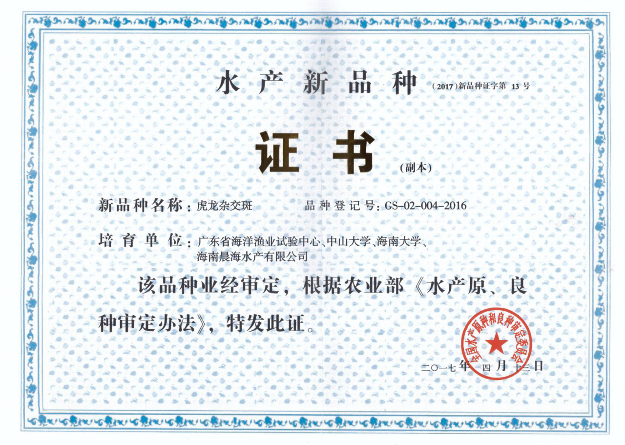 厲害了，我的“虎龍雜交斑”