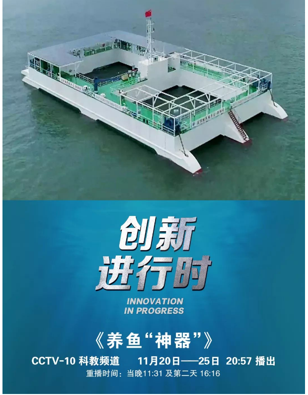 風再猛、浪再大，都攔不住我養(yǎng)魚的雄心！